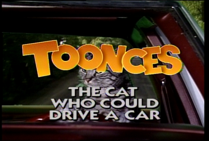 SNL_0595_05_Toonces_The_Cat_Who_Could_Drive_A_Car